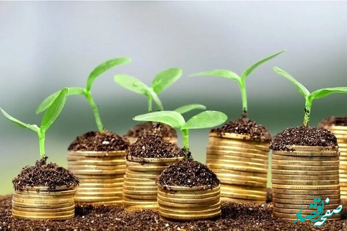 صندوق ملی محیط‌زیست به دنبال همکاری با بیمه‌ها