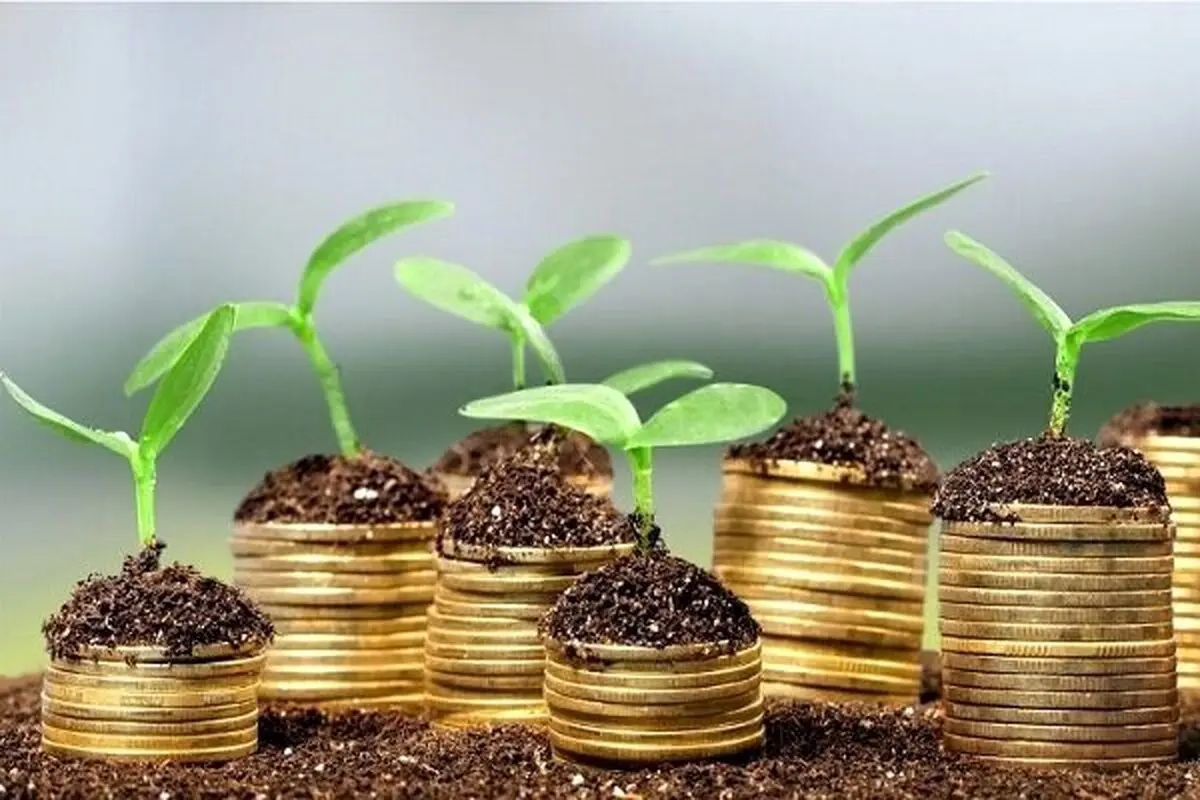 صندوق ملی محیطزیست به دنبال همکاری با بیمهها