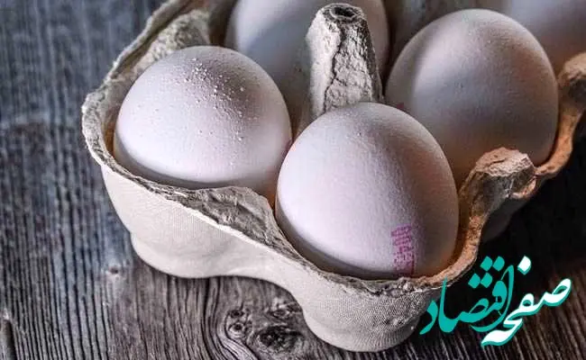 قیمت هر دانه و شانه تخم مرغ امروز سه شنبه ۴ دی ۱۴۰۳ در بازار تهران