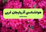 هواشناسی آذربایجان غربی ۲۴ ساعت آینده اعلام شد | پیش بینی وضعیت آب و هوا آذربایجان غربی فردا دوشنبه ۱۹ خرداد ماه ۱۴۰۴ + هوای ارومیه