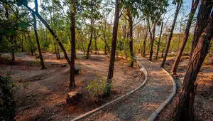 تذکر جدی رئیس کمیسیون شهرسازی شورای شهر به شهرداری؛ خرگوشدره را با پساب نجات دهید