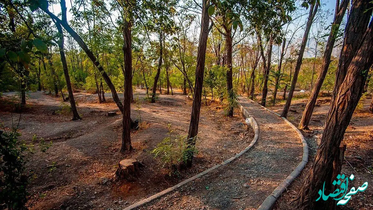 تذکر جدی رئیس کمیسیون شهرسازی شورای شهر به شهرداری؛ خرگوش‌دره را با پساب نجات دهید