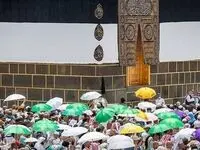 واکنش معاون سازمان حج و زیارت درخصوص قیمت حج 