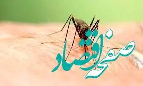 هشدار فوری؛ تب دنگی در جنوب ایران به مرحله خطرناک رسید