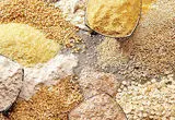 جدول قیمت نهاده های دامی امروز یکشنبه ۲۰ اردیبهشت ماه ۱۴۰۵ 