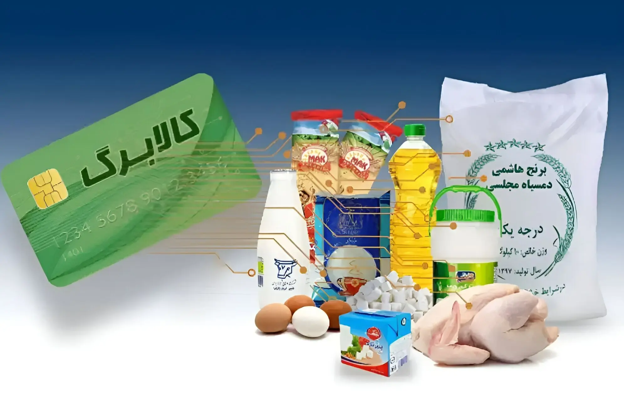 ارز ترجیحی کالاهای اساسی به سمت کالابرگ خانوار تغییر مسیر داد
