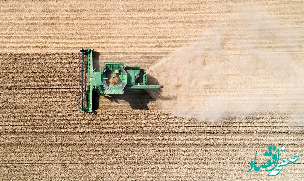 یک خبر تازه از هزینه تولید گندم بهار سال ۱۴۰۲ + جزئیات
