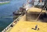 ورود ۱۰ درصدی نهاده های دامی با نظارت قرنطینه‌ای؛ تضمین امنیت غذایی از مبادی ورودی