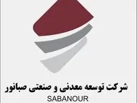 معاون اقتصادی و مالی هلدینگ صبانور منصوب شد