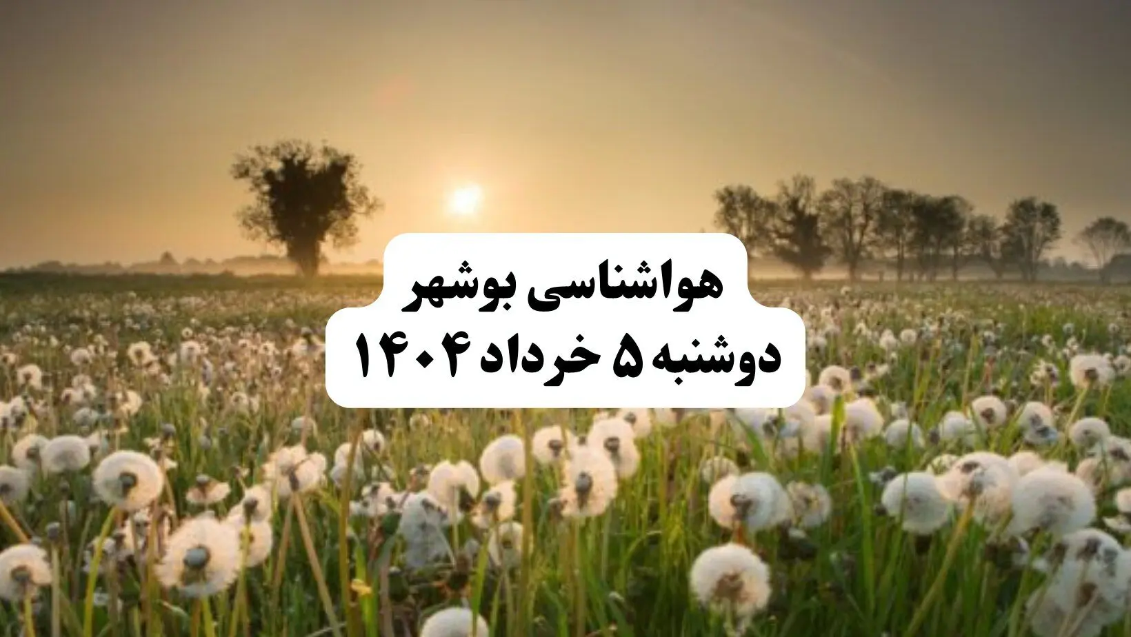 خبر فوری هواشناسی استان بوشهر دوشنبه ۵ خرداد ۱۴۰۴ | اطلاعیه هواشناسی بوشهر فردا دوشنبه ۵ خرداد ۱۴۰۴ | هوانیمه ابری و شرجی