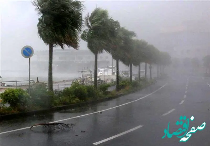 ۷ استان طوفانی می‌شود | خطر سرمازدگی بهاره در کمین