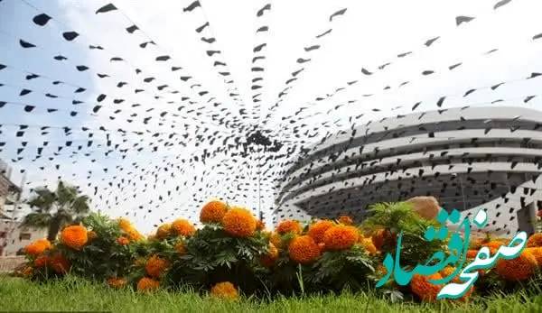 قشم با کاشت ۵۰۰ هزار بوته گل رنگ و بوی بهاری گرفت