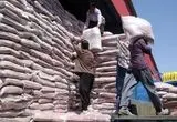 نظارت بر کیفیت برنج‌های وارداتی؛ سازمان بازرسی کل کشور ورود کرد