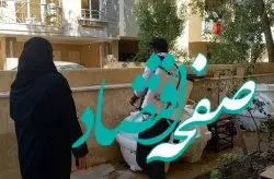 بهسازی اصولی محیط، مهمترین راه جلوگیری از گسترش پشه آئدس در کیش