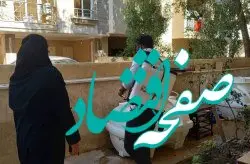 بهسازی اصولی محیط، مهمترین راه جلوگیری از گسترش پشه آئدس در کیش