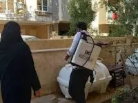 بهسازی اصولی محیط، مهمترین راه جلوگیری از گسترش پشه آئدس در کیش