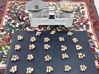 انس پسته چیست و چه کاربردی دارد؟