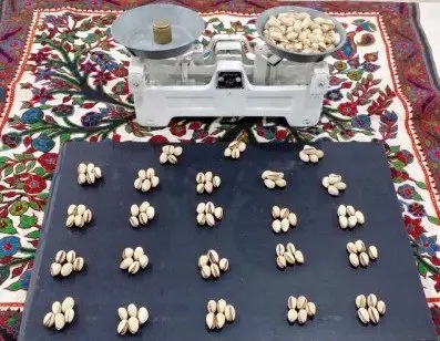 انس پسته چیست و چه کاربردی دارد؟