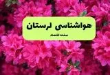 پیش بینی وضعیت آب و هوا لرستان فردا سه شنبه ۲۰ خرداد ماه ۱۴۰۴ | وضعیت هواشناسی خرم آباد ۲۴ ساعت آینده + هواشناسی لرستان