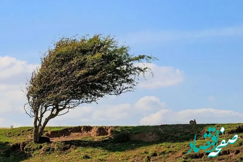 وضعیت آب و هوا قم فردا پنجشنبه ۲۷ مهر ماه ۱۴٠۲ | آب و هوای قم فردا چگونه خواهد بود؟ 