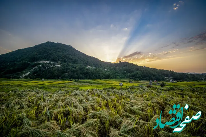 آخرین وضعیت هواشناسی و بارندگی مازندران فردا جمعه ۲۱ مهر ماه ۱۴٠۲ 
