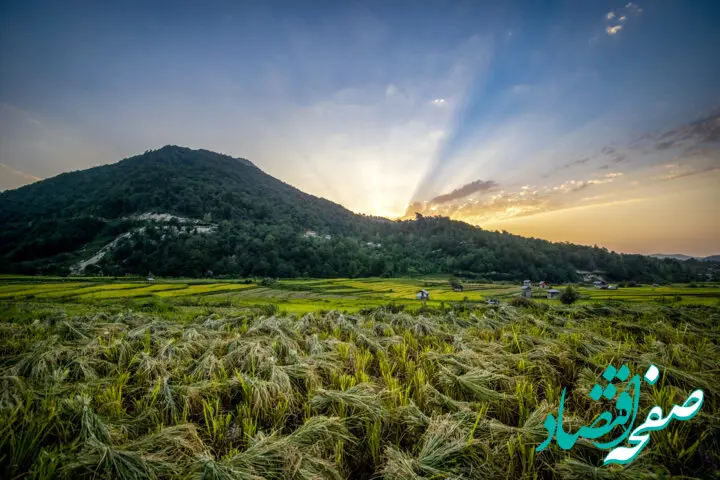 آخرین وضعیت هواشناسی و بارندگی مازندران فردا جمعه ۲۱ مهر ماه ۱۴٠۲ 