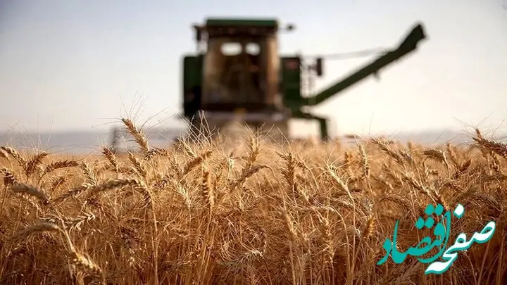 چرا دولت در پرداخت مطالبه گندمکاران تعلل می کند؟ 