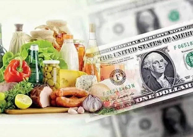 واحدهای کوچک مرغداری پس از حذف ارز ترجیحی در آستانه تعطیلی