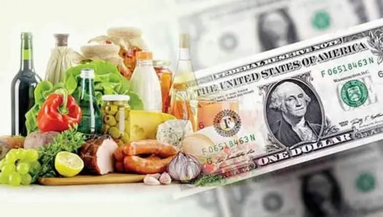 واحدهای کوچک مرغداری پس از حذف ارز ترجیحی در آستانه تعطیلی