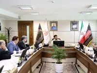 بازارگردانی نماد «فملی» با جدیت پیگیری شود