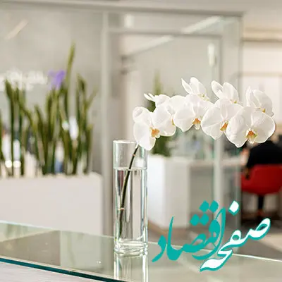 پرداخت ۲۲ هزار میلیارد ریال تسهیلات حمایتی توسط بانک اقتصادنوین