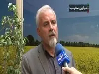 آخرین خبر از قیمت جدید خرید تضمینی گندم امروز یکشنبه ۱۸ شهریور ۱۴۰۳ | وعده بعدی قیمت گذاری خرید تضمینی گندم