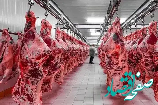 آمار ذبح رسمی انواع گوشت در فروردین ۱۴۰۵