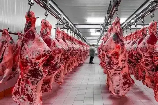 قیمت گوشت قرمز امروز یکشنبه ۲۱ دی ۱۴۰۴