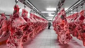 آمار ذبح رسمی انواع گوشت در فروردین ۱۴۰۵