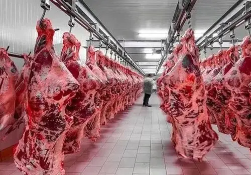 قیمت گوشت قرمز امروز پنجشنبه ۹ مهر ۱۴۰۵