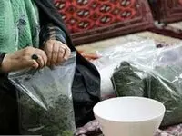 اطلاعیه مهم ستاد ساماندهی کار و رفاه اجتماعی 
پیرامون اعطای وام مشاغل خانگی / وام بدون ضامن تصویب شد ؟ 
