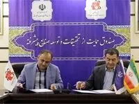 زمینه‌های فن‌آورانه خوبی برای صادرات داریم