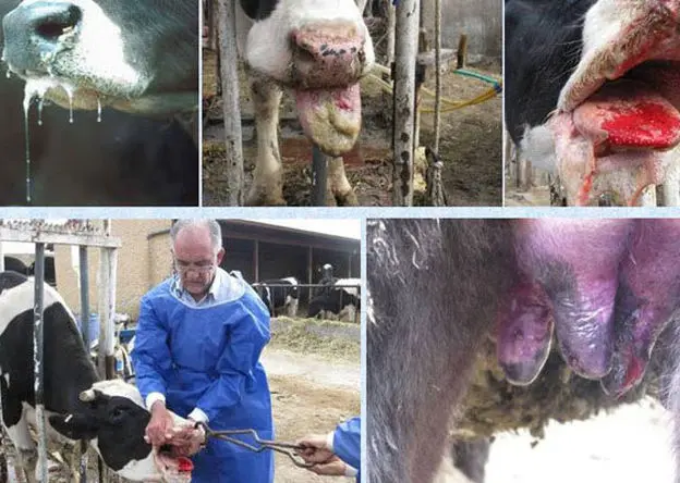 استفاده از فناوری هوش مصنوعی در کنترل بیماری تب برفکی