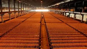 افزایش قابل توجه سرمایه گذاری جهانی روی ظرفیت زنجیره مس جهانی / سقوط قیمت جهانی مس از مرز ۱۴ هزار دلار