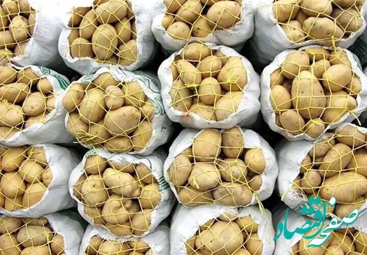 جهش ۷۰۰ درصدی قیمت سیب زمینی در اروپا؛ سونامی تنگه هرمز به سفره غذا رسید