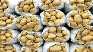 جهش ۷۰۰ درصدی قیمت سیب زمینی در اروپا؛ سونامی تنگه هرمز به سفره غذا رسید