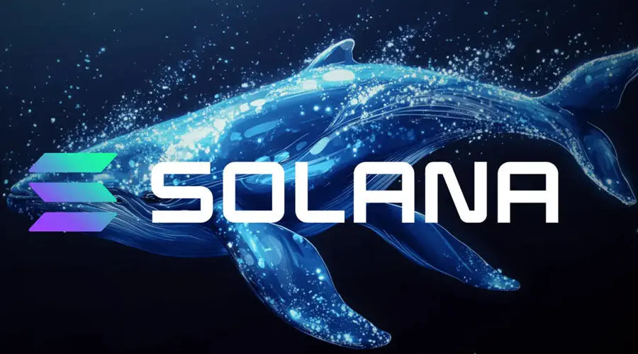قیمت سولانا کاهش می یابد؟ 