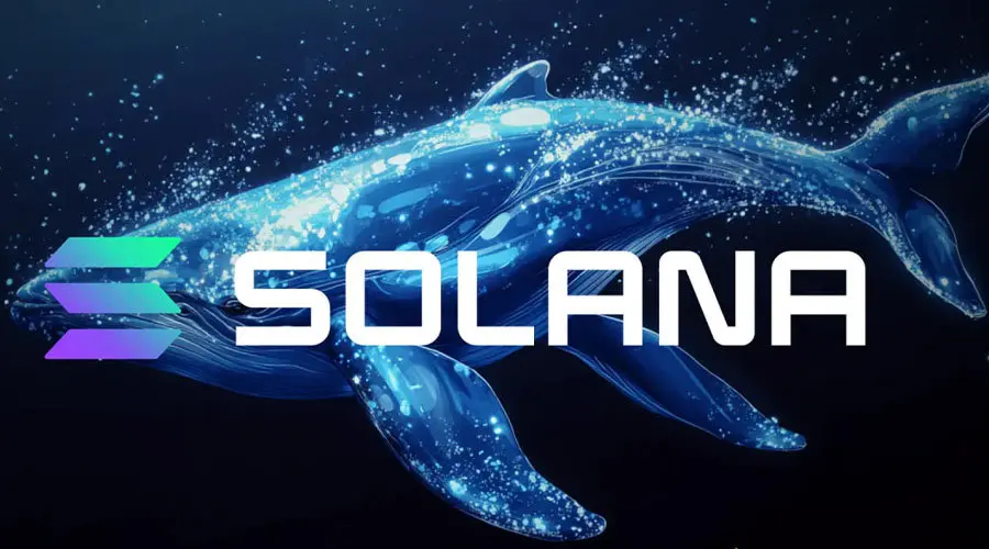 قیمت سولانا کاهش می یابد؟ 