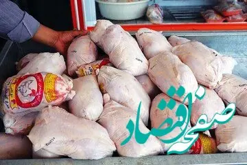 آخرین قیمت مرغ امروز پنجشنبه ۶ دی ۱۴۰۳