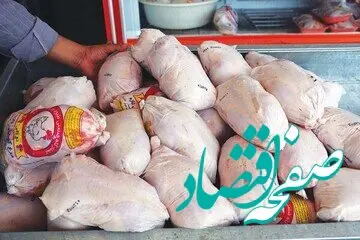 آخرین قیمت مرغ امروز پنجشنبه ۶ دی ۱۴۰۳