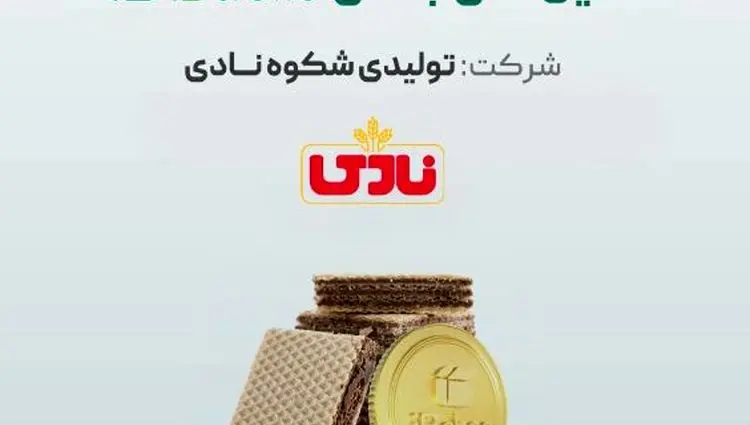آغاز پویش تامین مالی جمعی شرکت «تولیدی شکوه نادی»