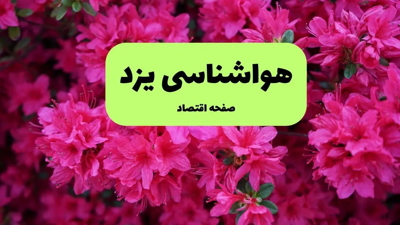 پیش بینی وضعیت آب و هوا یزد فردا ۱۱ تیر ماه ۱۴۰۴ | هواشناسی یزد فردا چهارشنبه یازدهم تیر ماه | دمای ۴۳ و ۴۲ درجه برای تاسوعا و عاشورا