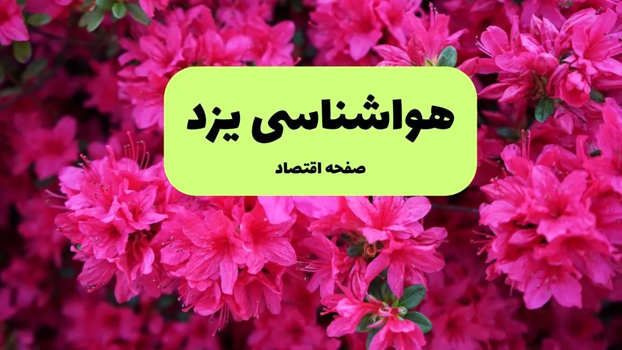 پیش بینی وضعیت آب و هوا یزد فردا سه شنبه ۲۰ خرداد ماه ۱۴۰۴ | وضعیت هواشناسی یزد ۲۴ ساعت آینده