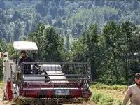 تعرفه برداشت مکانیزه برنج برای سال ۱۴۰۵ تعیین شد